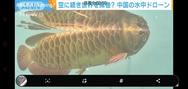 물고기 모양의 중국제 수중드론 photo ANN